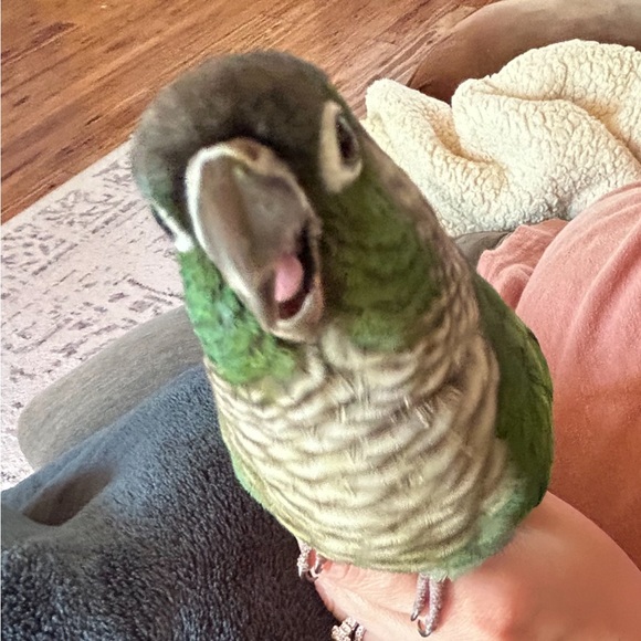 Meet your Posher - Picture 4 of 11